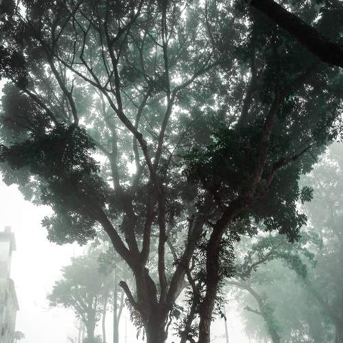 Photo #7176936