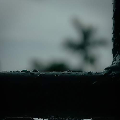 Photo #7177096