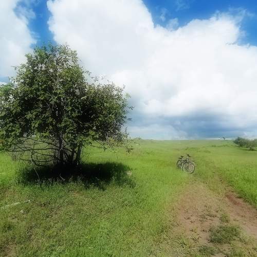 Photo #7177199