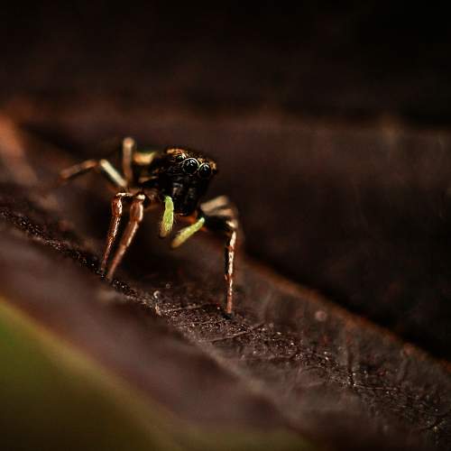 Photo #7177376
