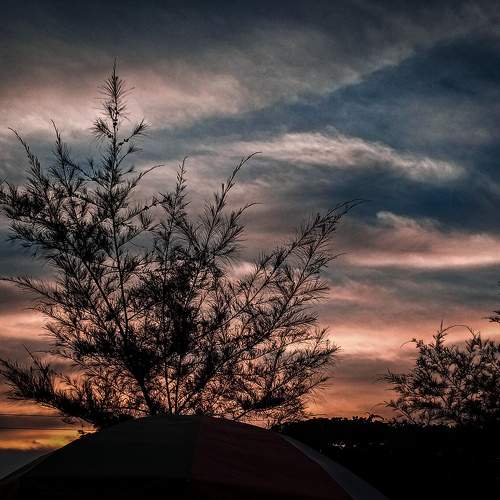 When the sun goes down, another beauty raises