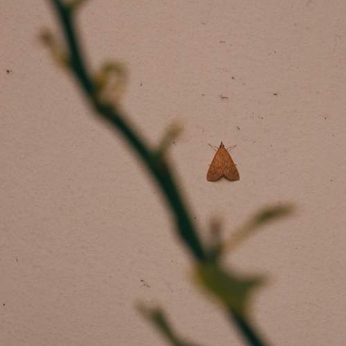 Photo #7178166