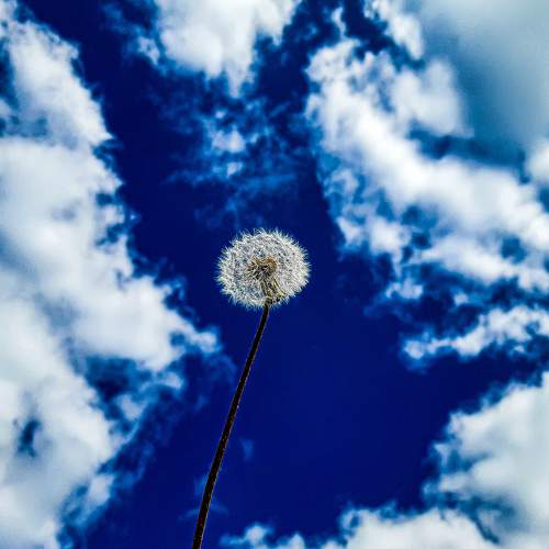 Photo #7178179