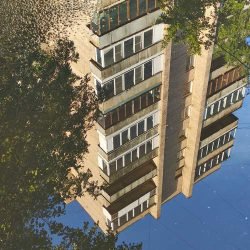 Photo #7178229