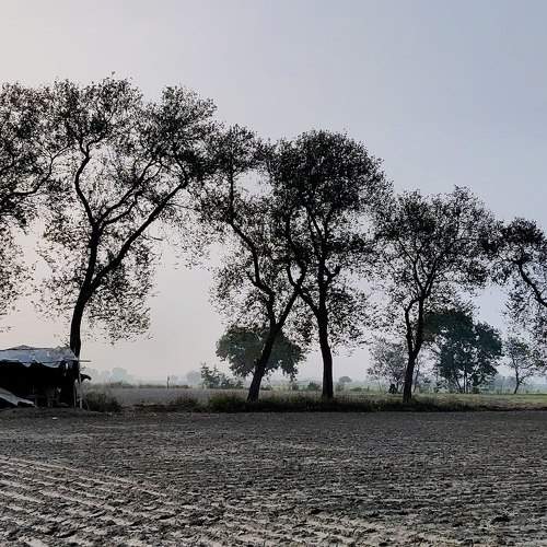 Photo #7178301