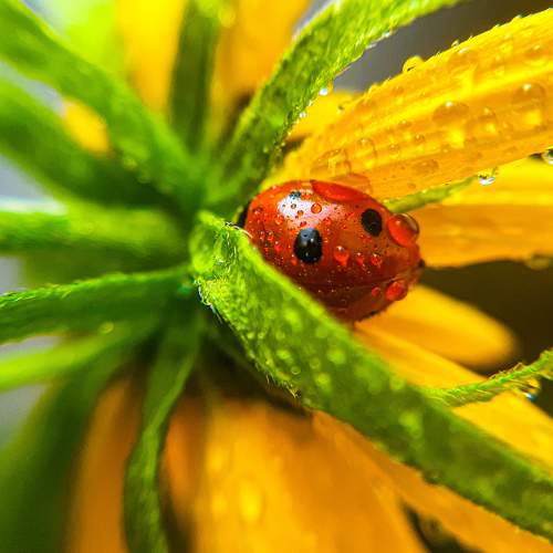 Photo #7178333