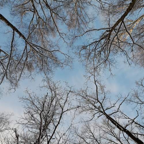 Photo #7178423