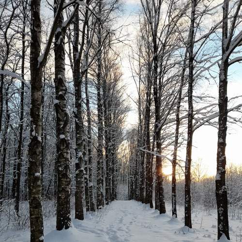 Photo #7178424