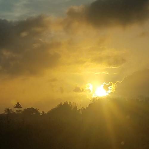 Photo #7178454