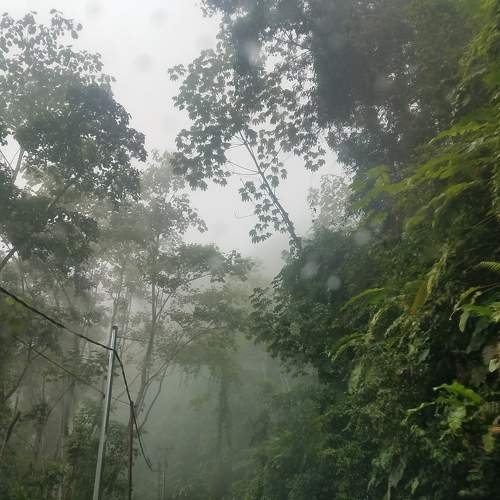 Photo #7178455