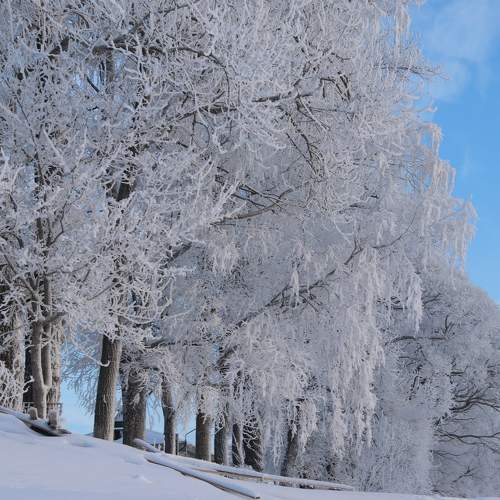 Photo #7178516