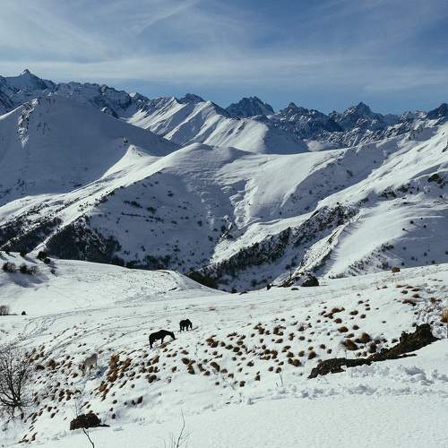 Photo #7178520
