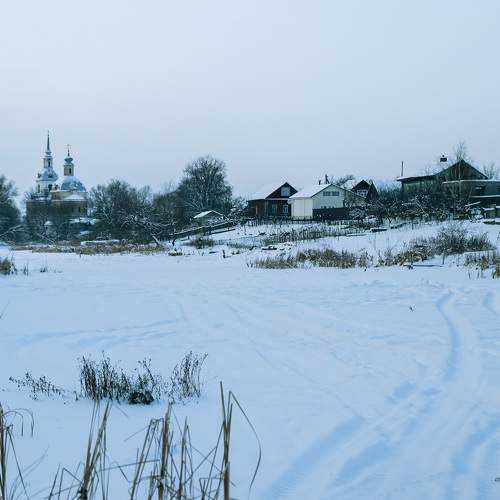 Photo #7178521