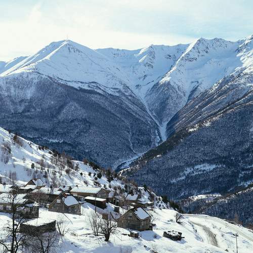 Photo #7178522