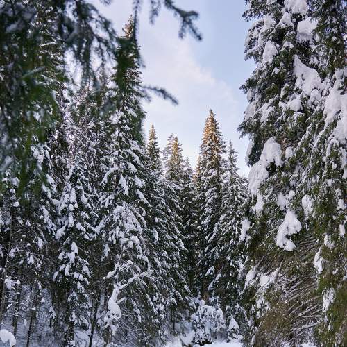 Photo #7178529