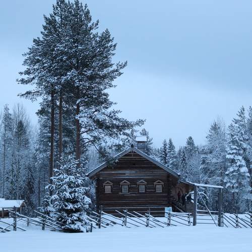 Photo #7178552