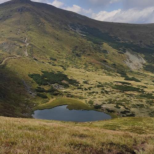 Photo #7178765