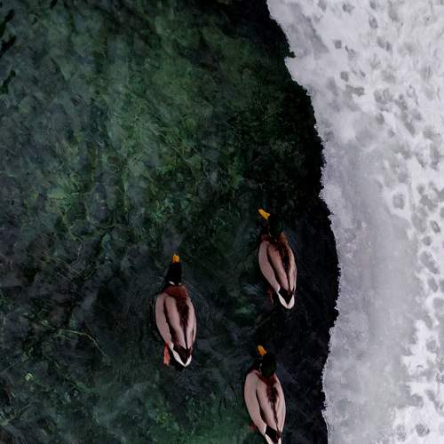 Photo #7179098