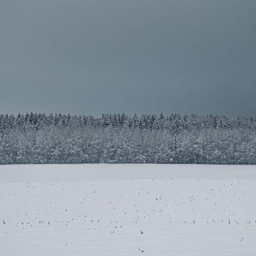 Photo #7179423