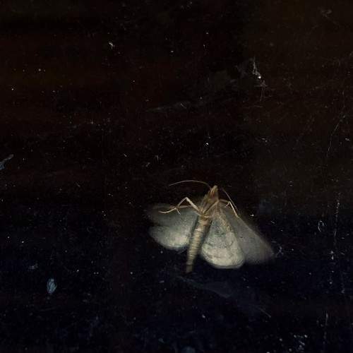 Photo #7179509
