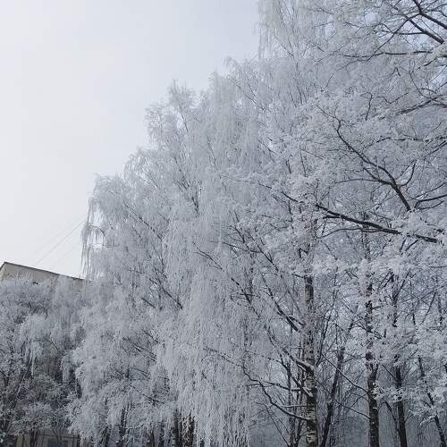 Photo #7179673