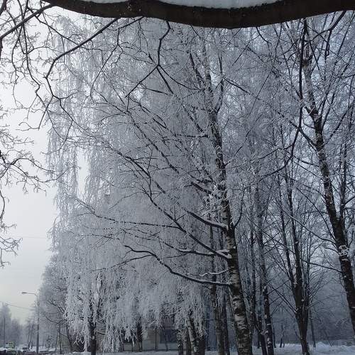 Photo #7179706