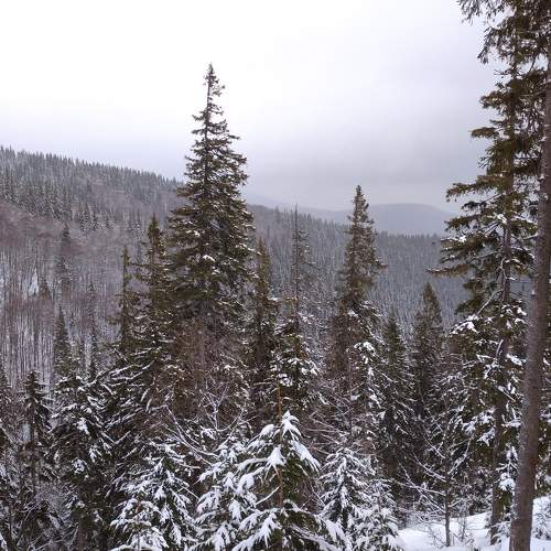Photo #7179888