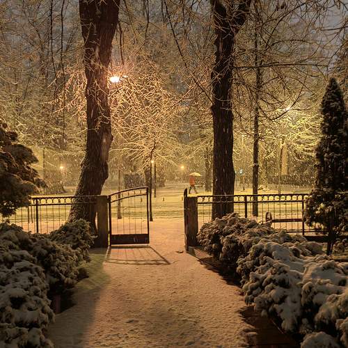 Photo #7179891