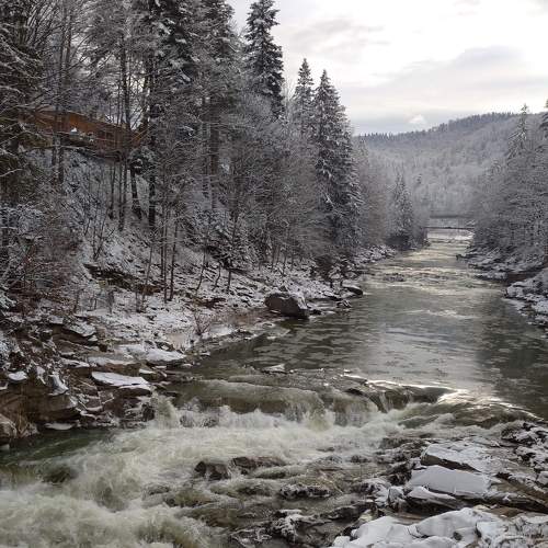 Photo #7179894