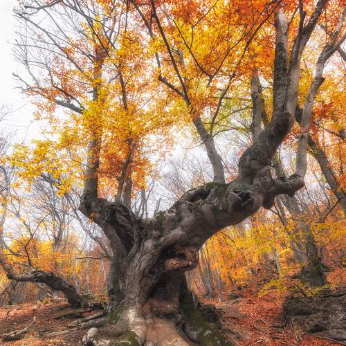 Фотография #7180360