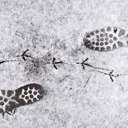 Photo #7180744