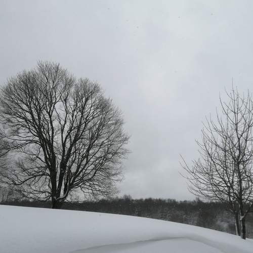 Photo #7180779