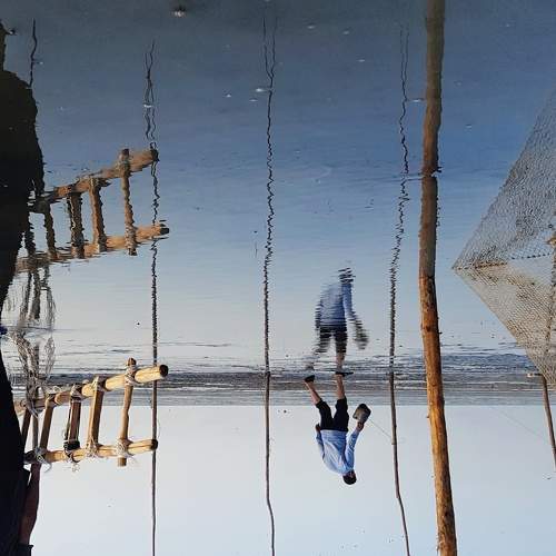 Photo #7180876