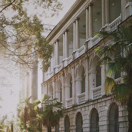Photo #7181002