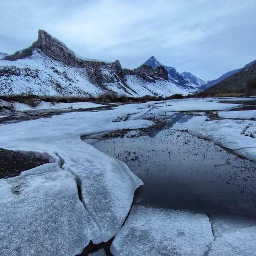 Photo #7181093