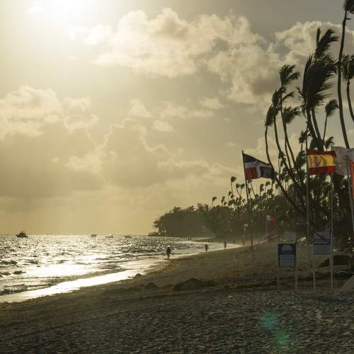 Photo #7181286