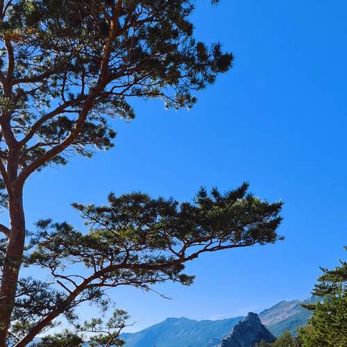 Photo #7181350
