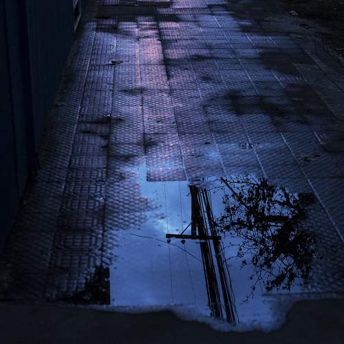 Photo #7181404