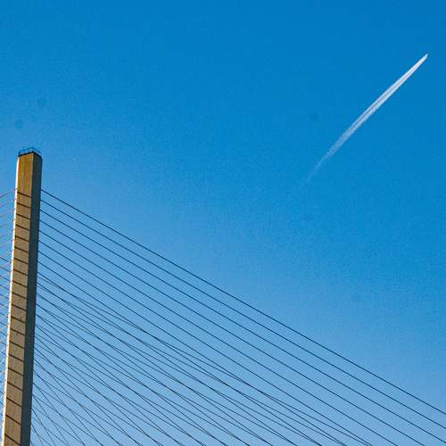 Photo #7181425
