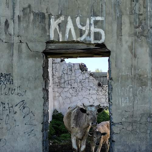 Photo #7181440