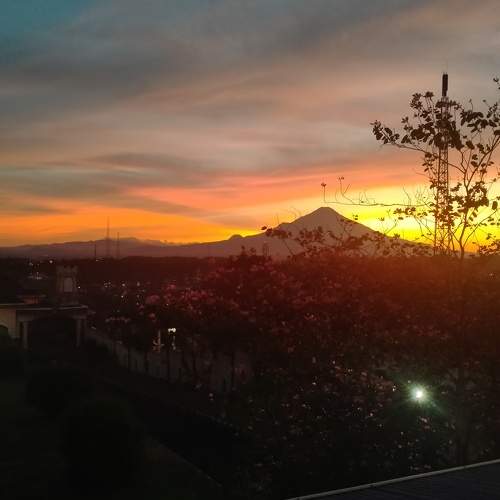 Photo #7181516