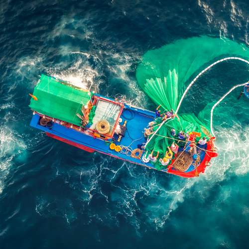 Фотография #7181642