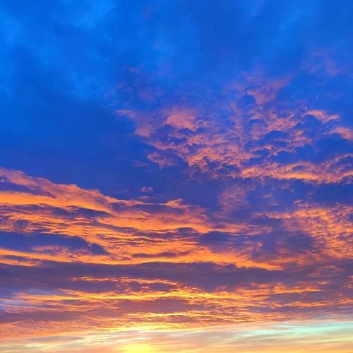 Photo #7181730