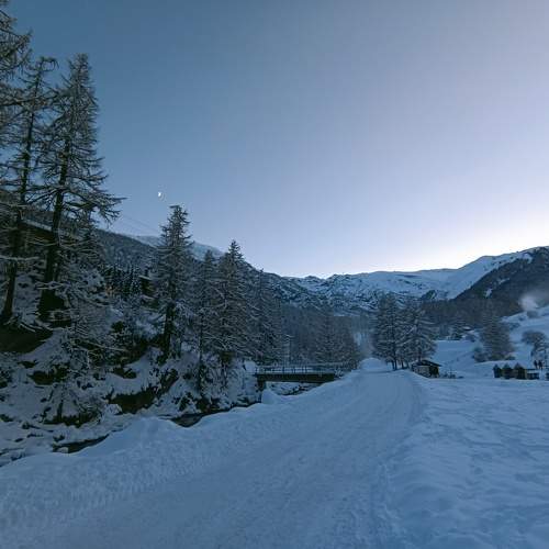 Nature under the snow