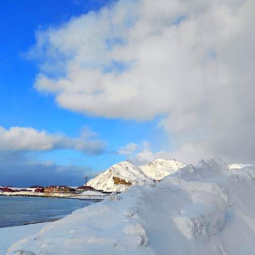 Photo #7181977