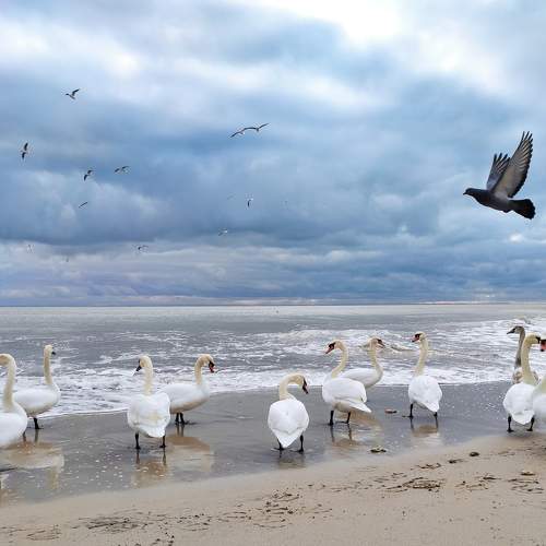 Photo #7182031