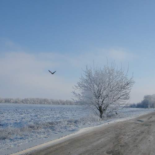 Photo #7182043