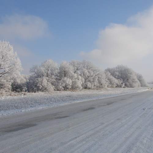 Photo #7182044