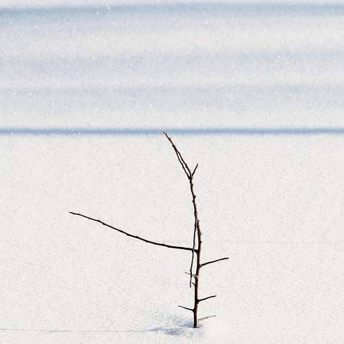 Photo #7182317