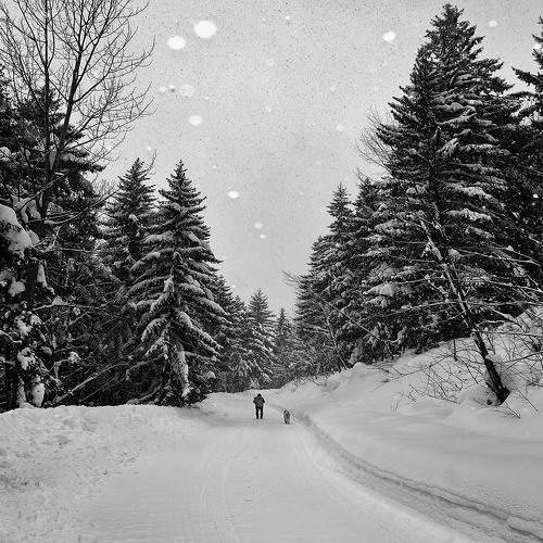 Photo #7182528